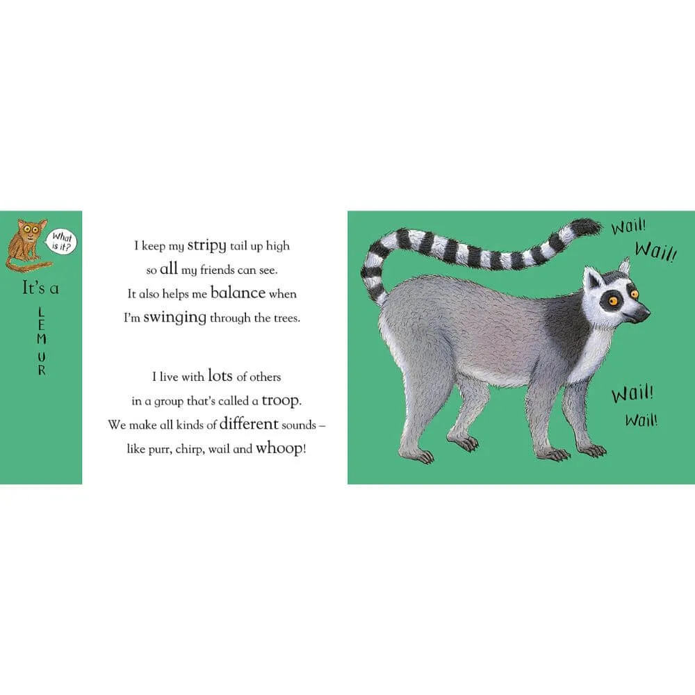 Axel Scheffler's Flip Flap Zoo