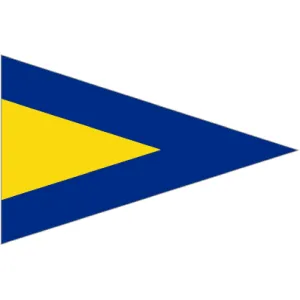 Code Flag Substitute 1