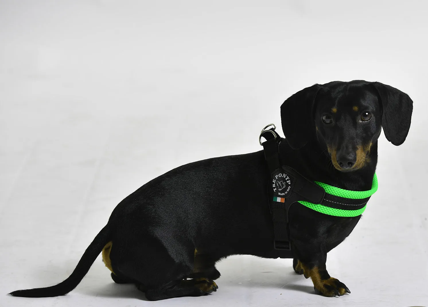 Easy Fit Fluro Green Mesh Harness with Adjustable Girth