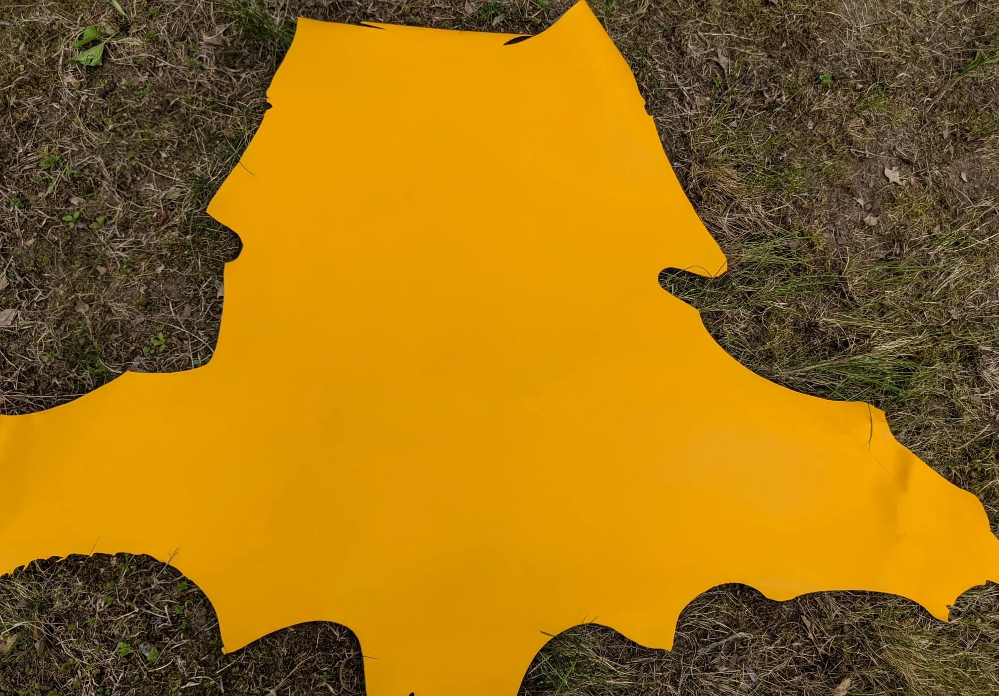 Kangaroo (veg tanned)