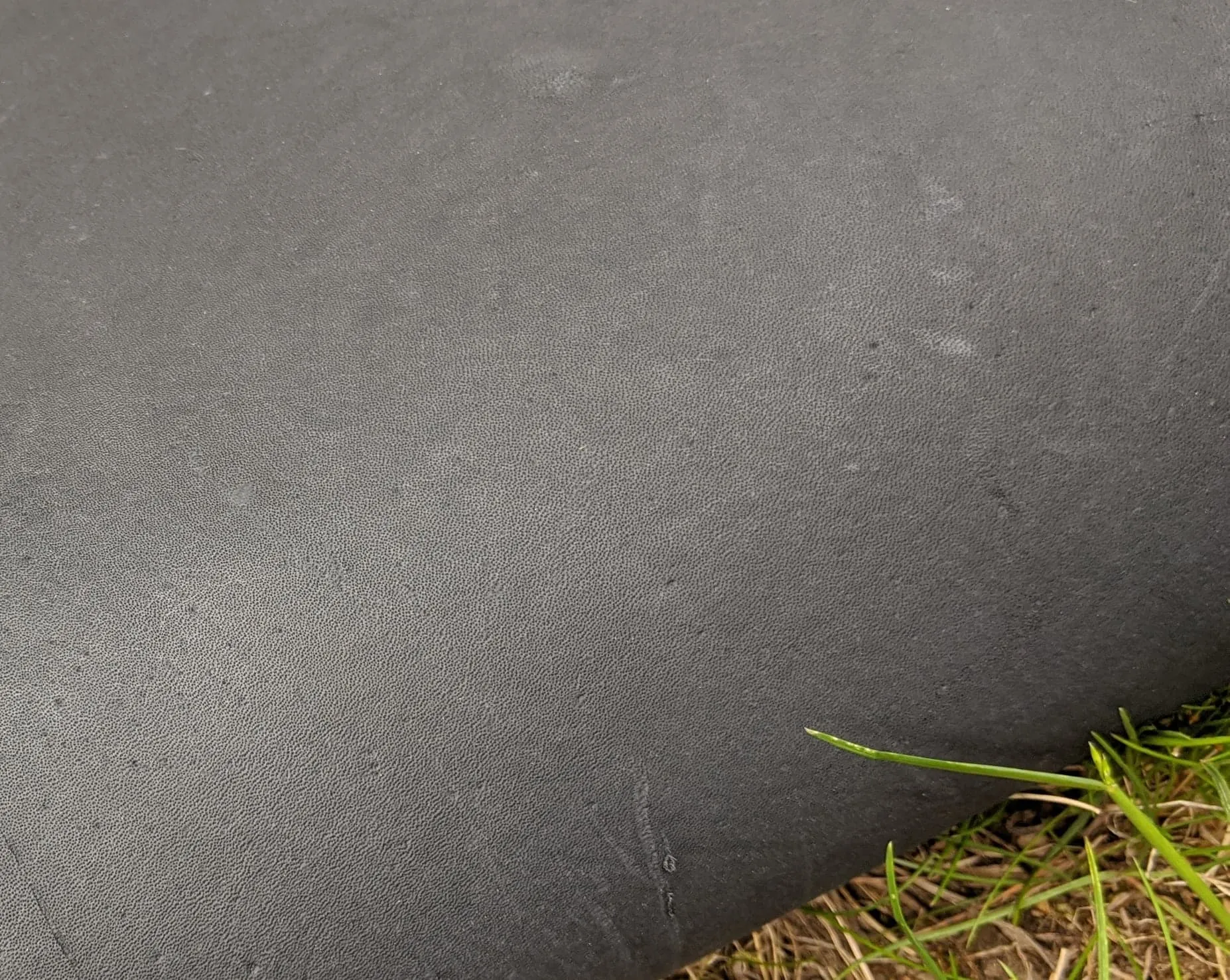Kangaroo (veg tanned)