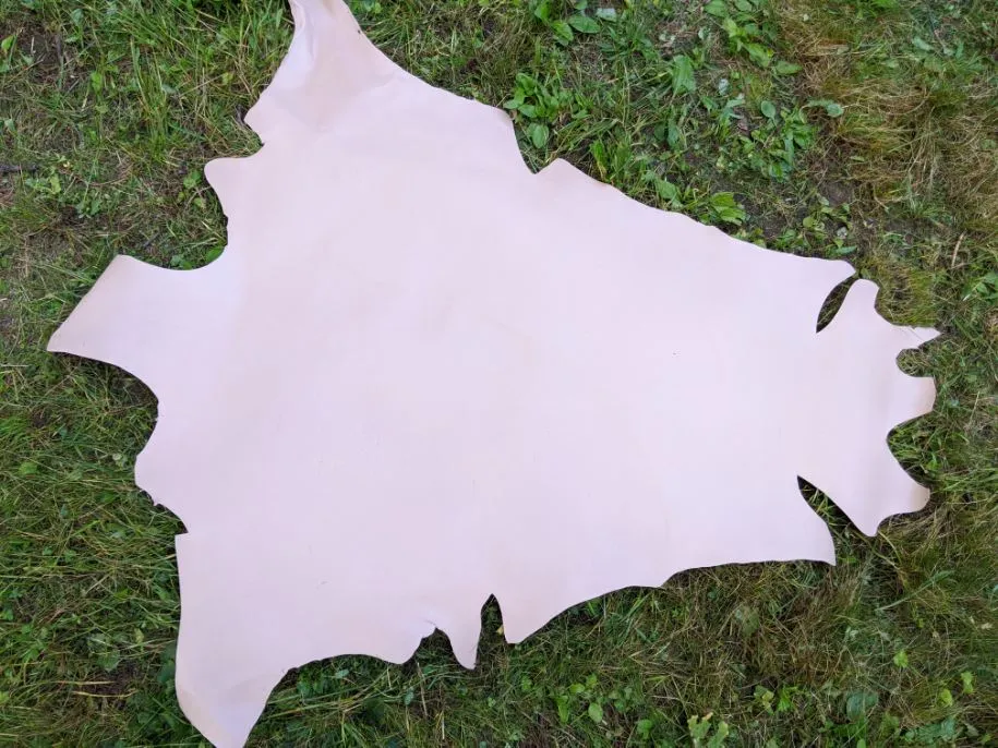 Kangaroo (veg tanned)