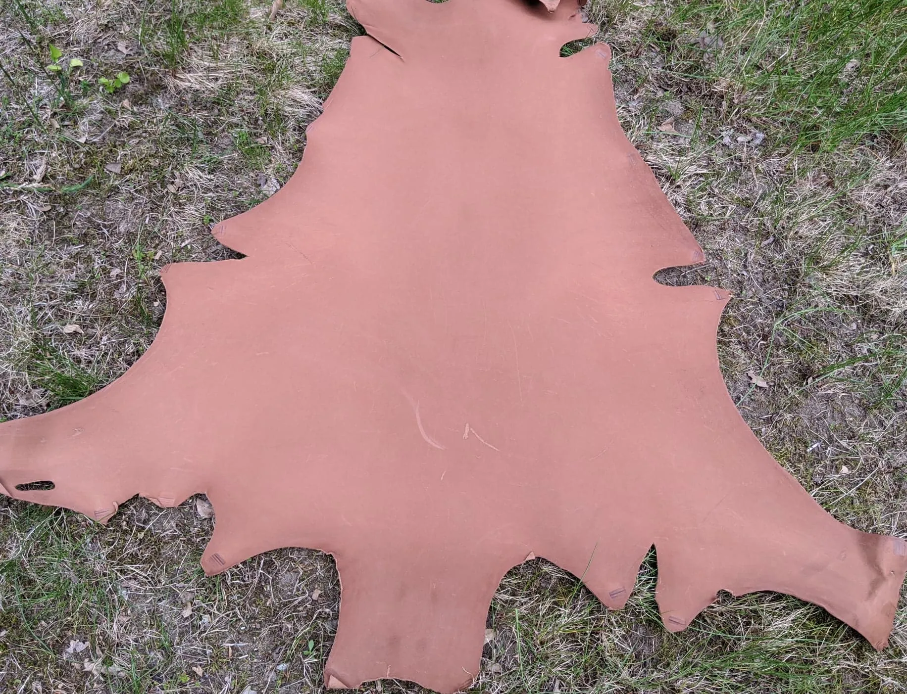 Kangaroo (veg tanned)