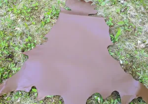 Kangaroo (veg tanned)