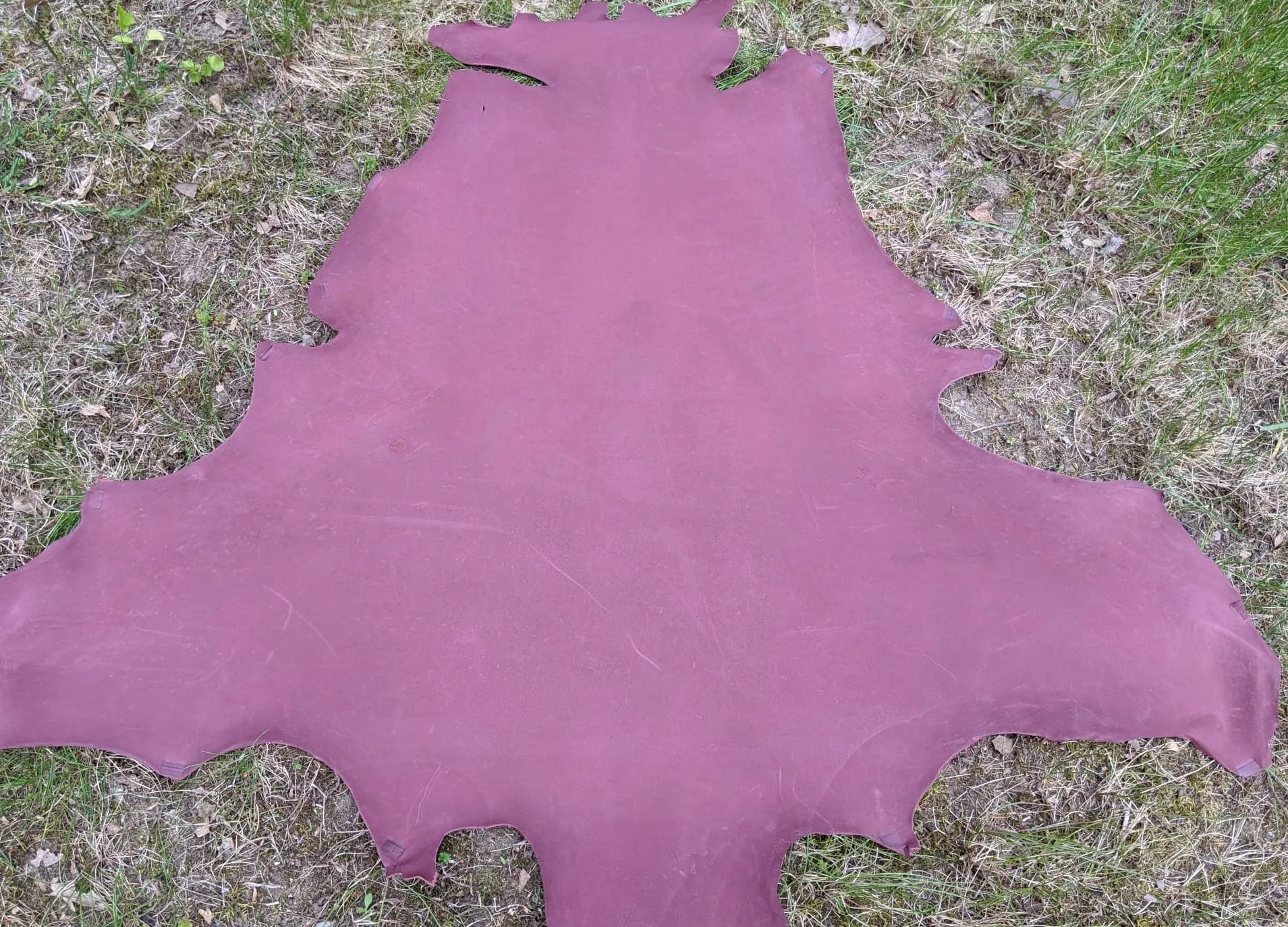 Kangaroo (veg tanned)