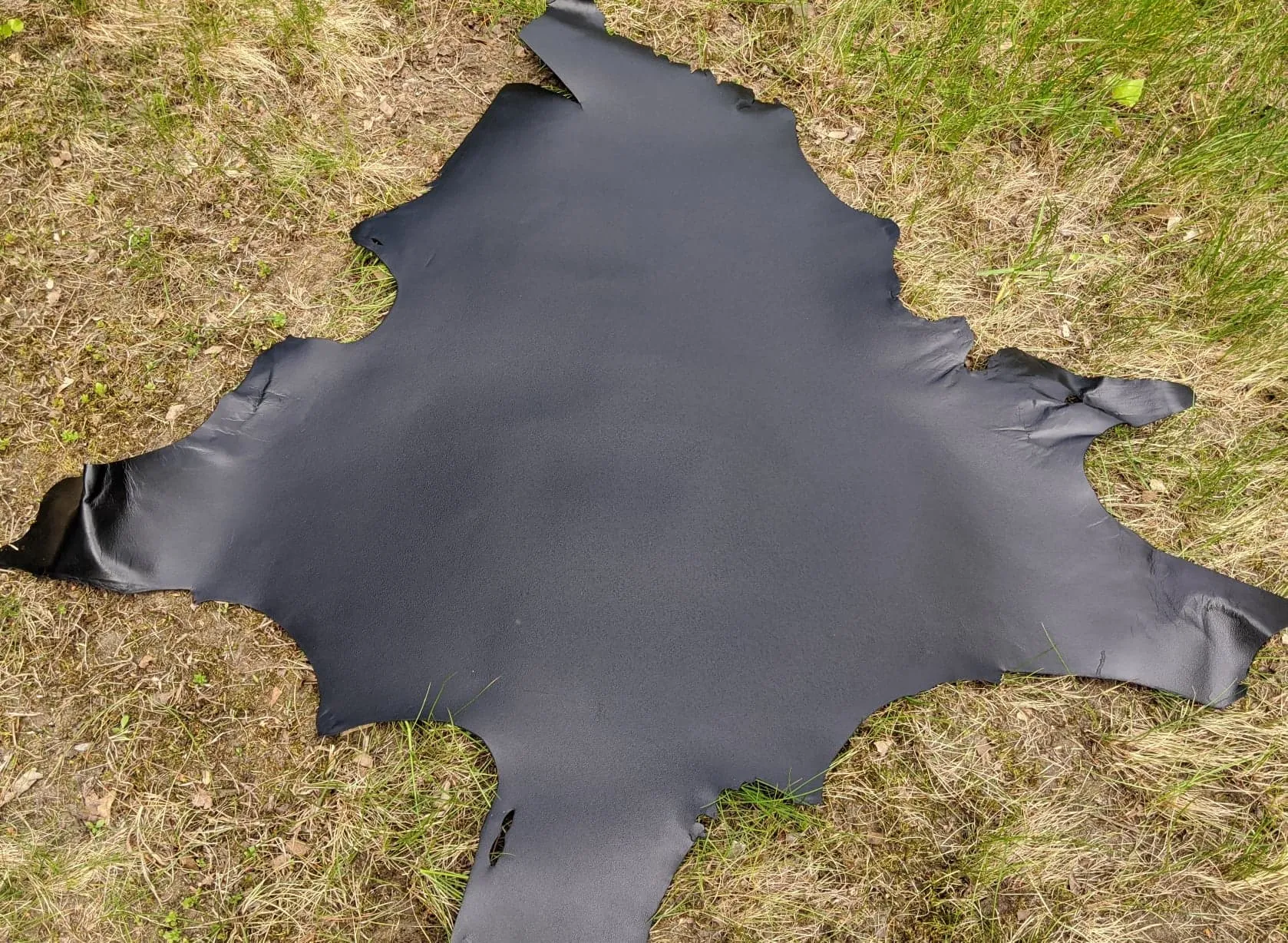 Kangaroo (veg tanned)