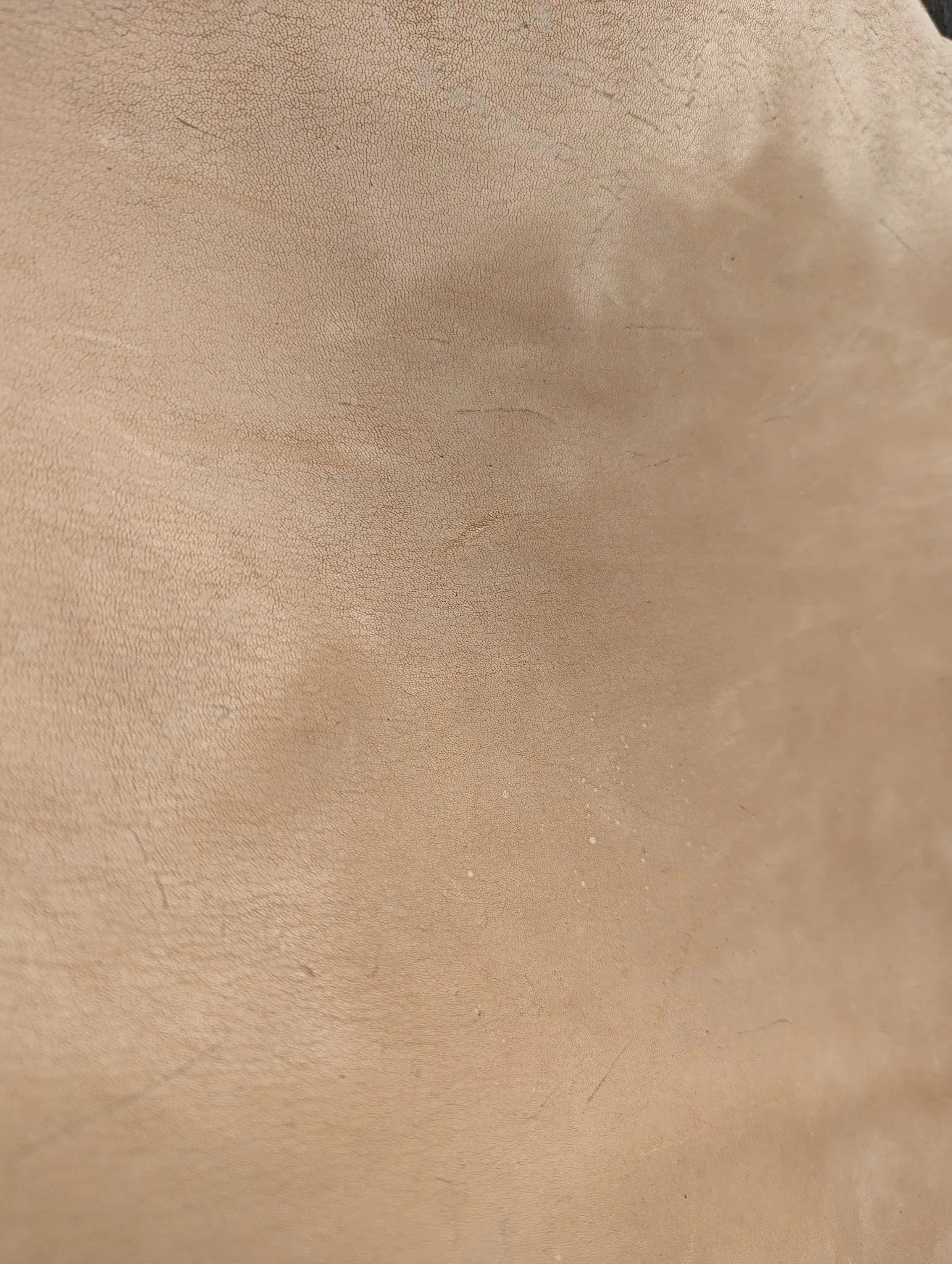 Kangaroo (veg tanned)