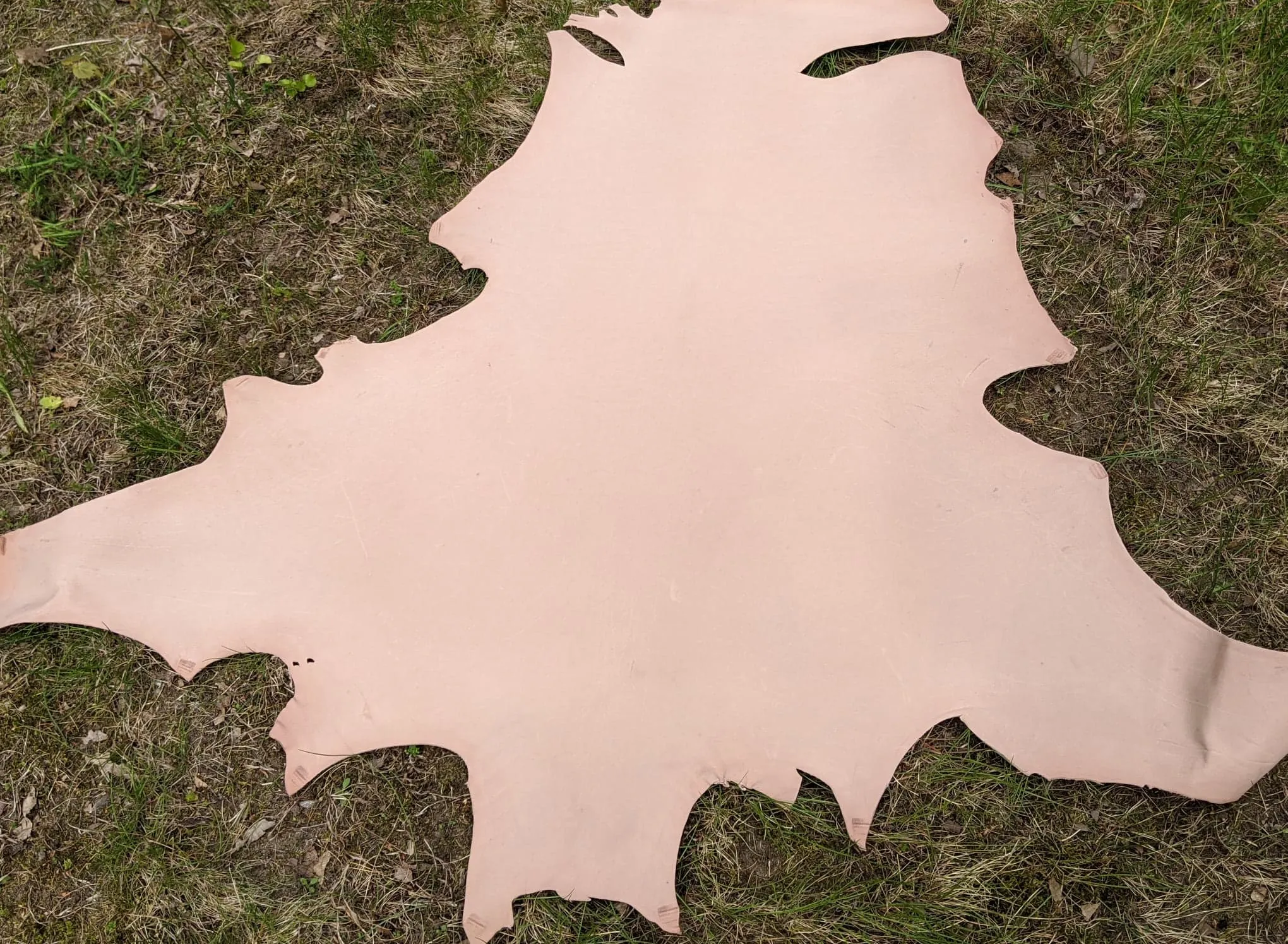 Kangaroo (veg tanned)