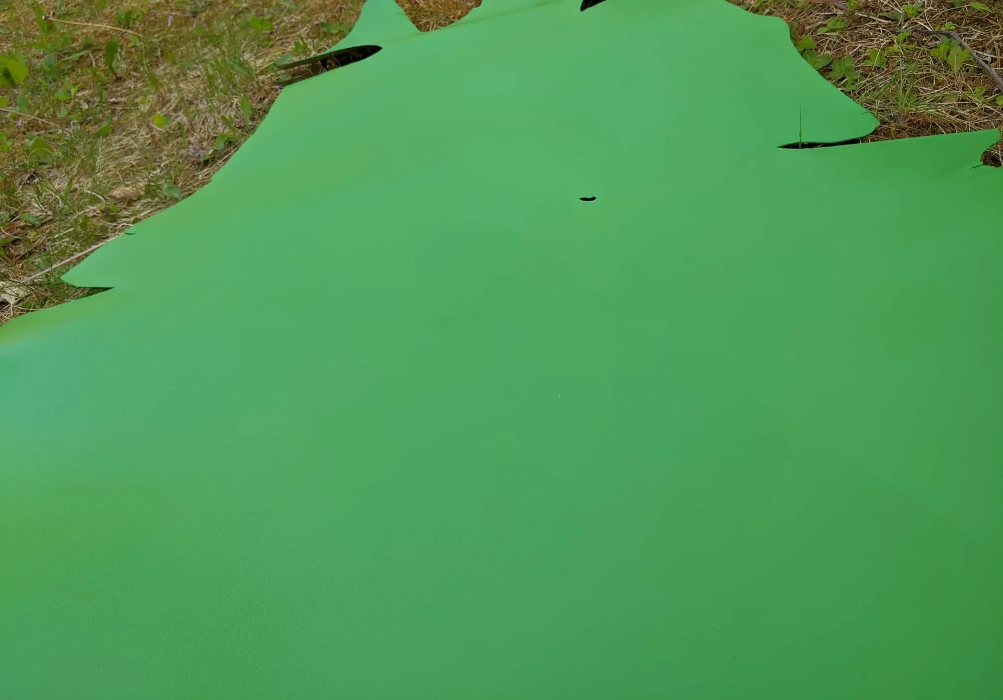 Kangaroo (veg tanned)