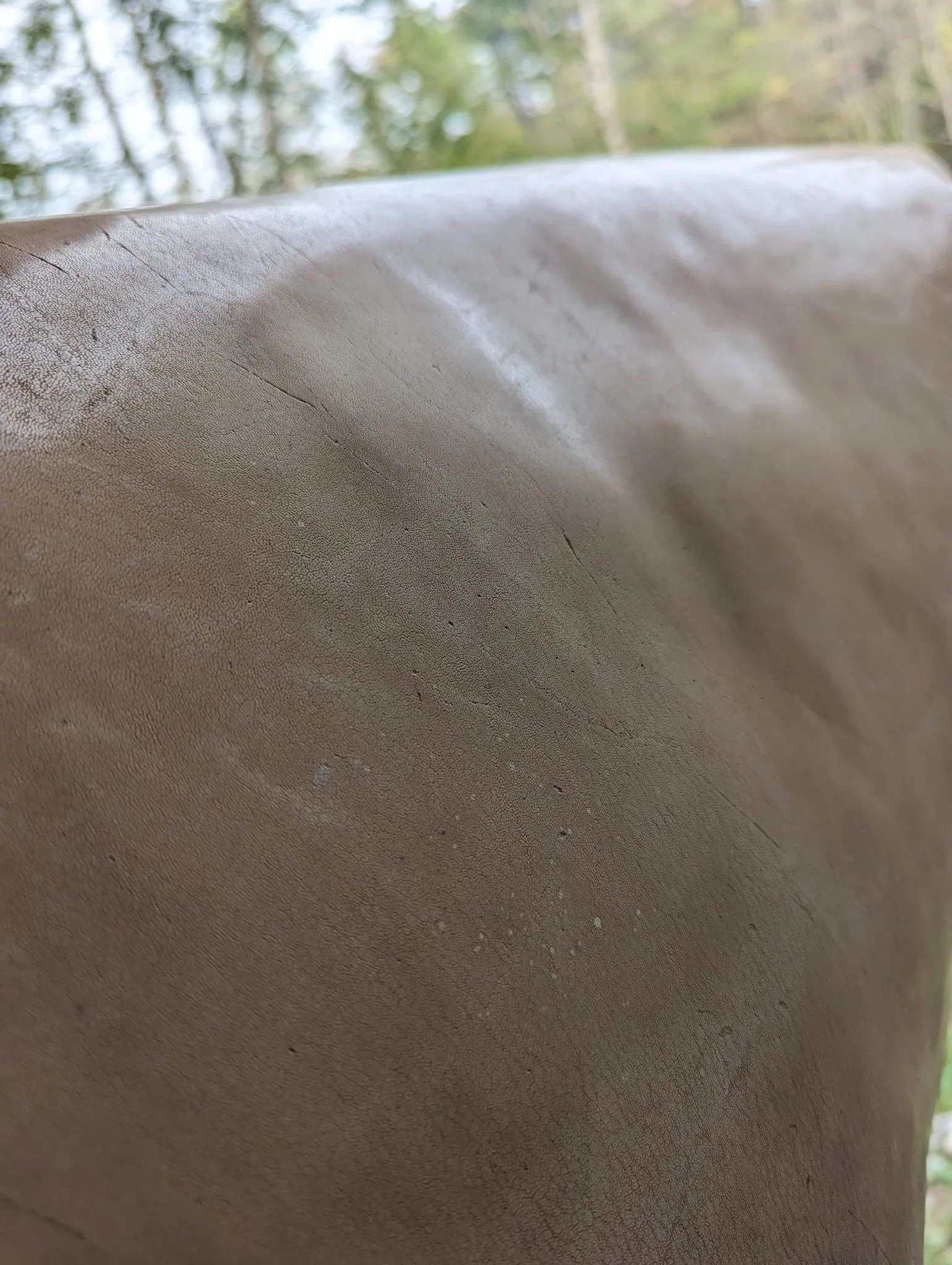 Kangaroo (veg tanned)