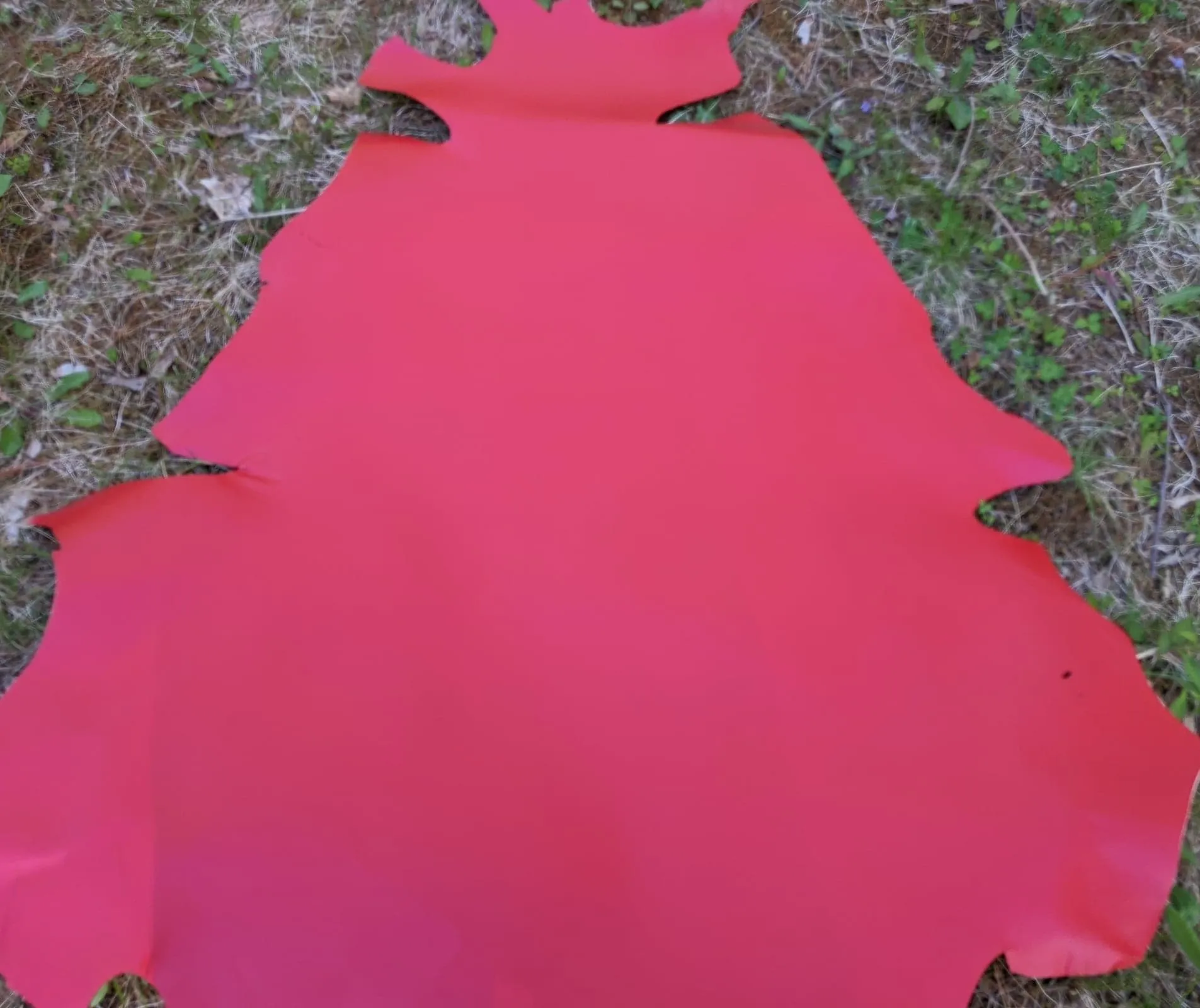 Kangaroo (veg tanned)
