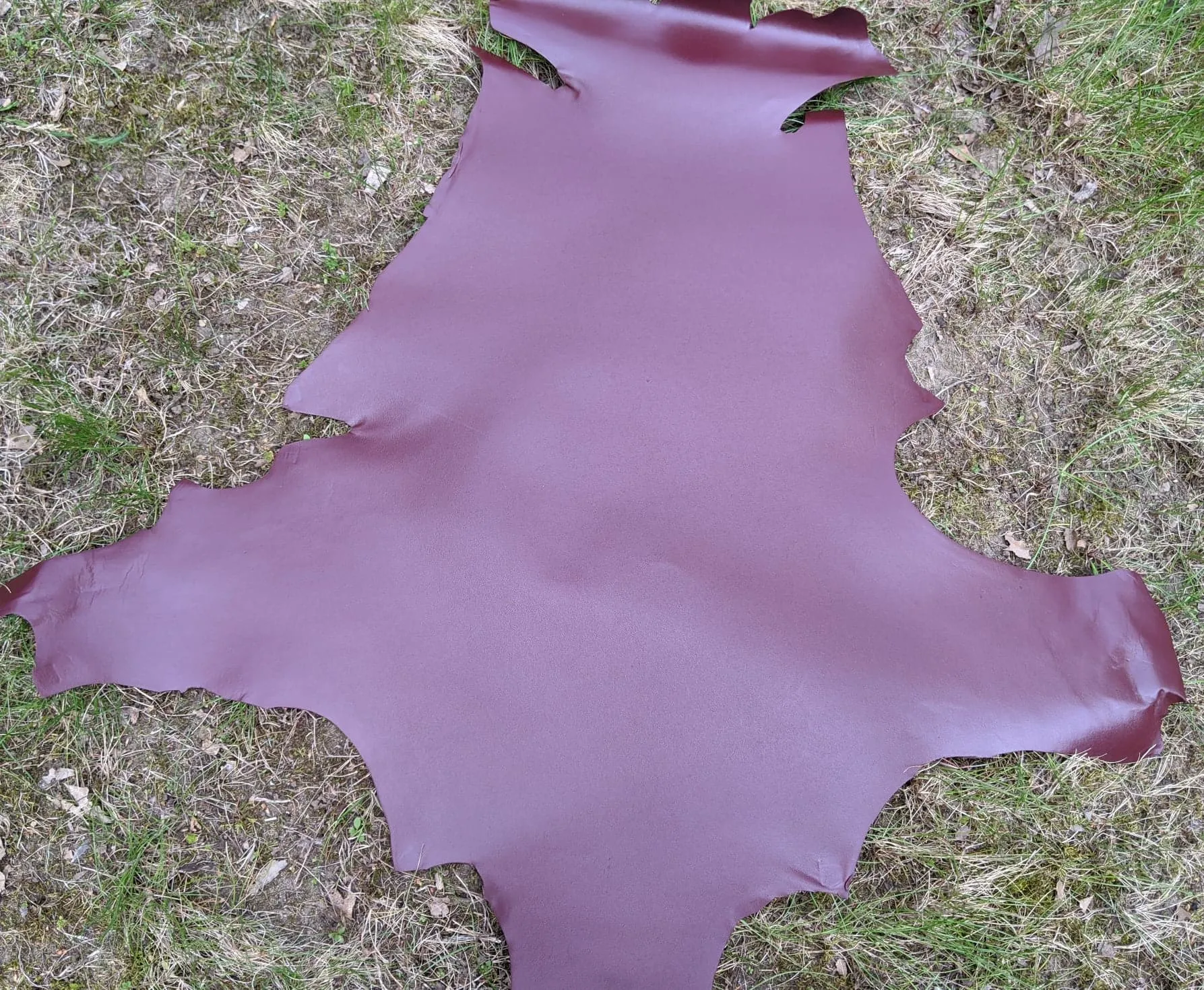 Kangaroo (veg tanned)