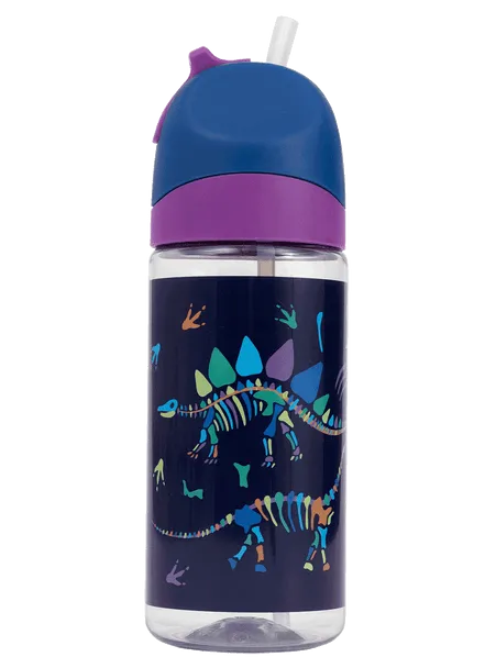 Little Water Bottle - Dino Bones