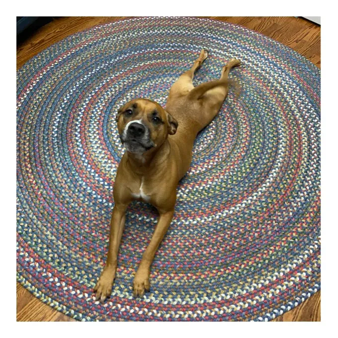 New Wayfair Orval Handmade Green Indoor/Outdoor Rug, Braided! 4 Ft Round! Retails $429 