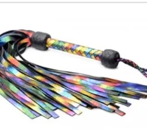 Rainbow Flogger
