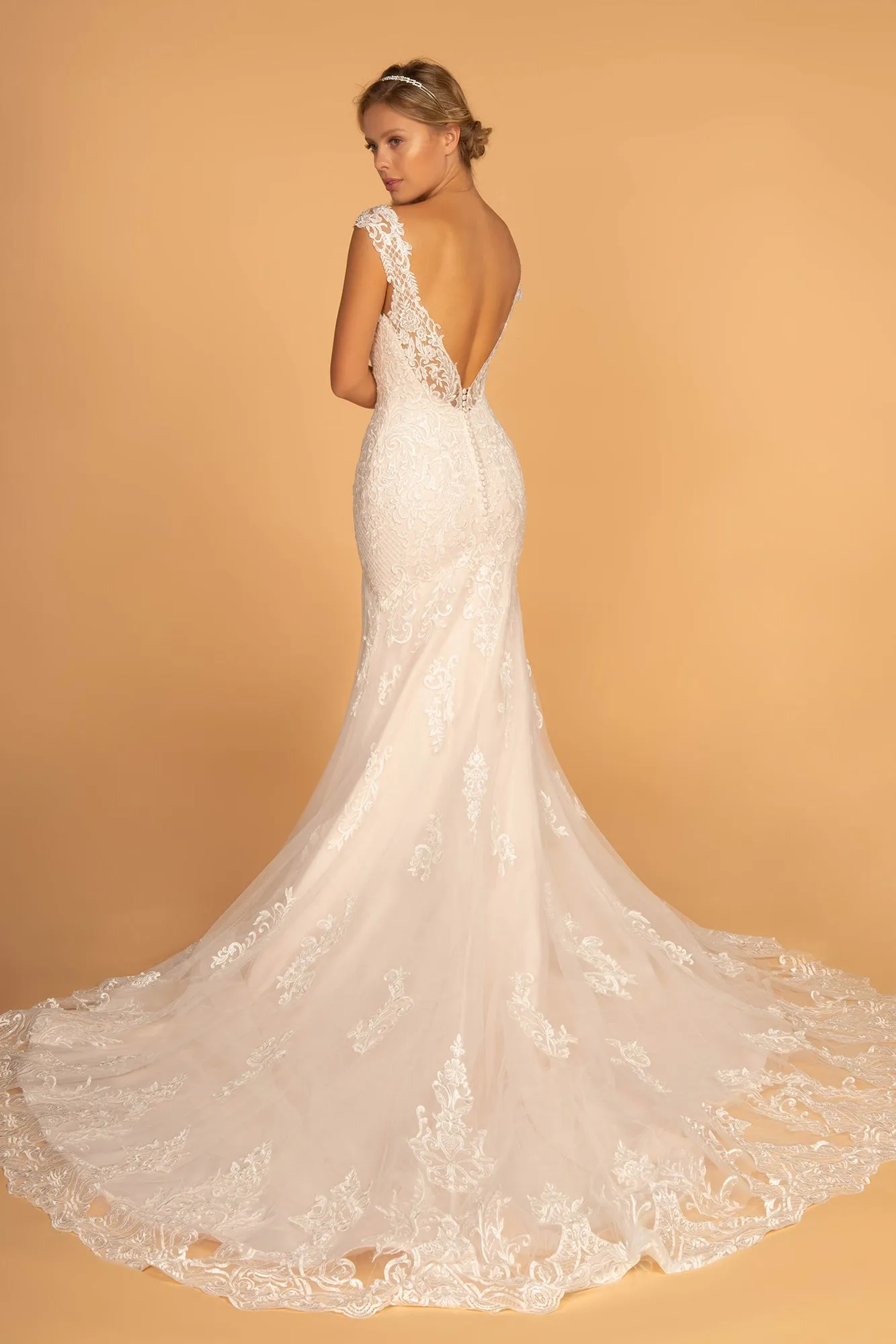 Rosamund Wedding Dress V Neck and Back Fitted Flare Bridal Gown 2602595IKR-Ivory