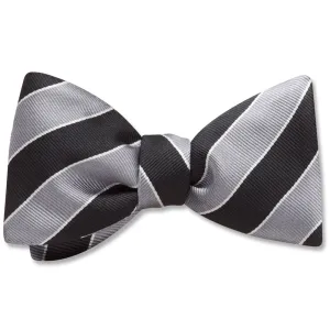 Scholastic Black/Silver - Dog Bow Ties