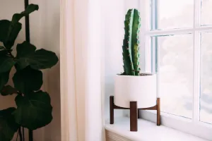 Sonder Planter Pot - Fossil White