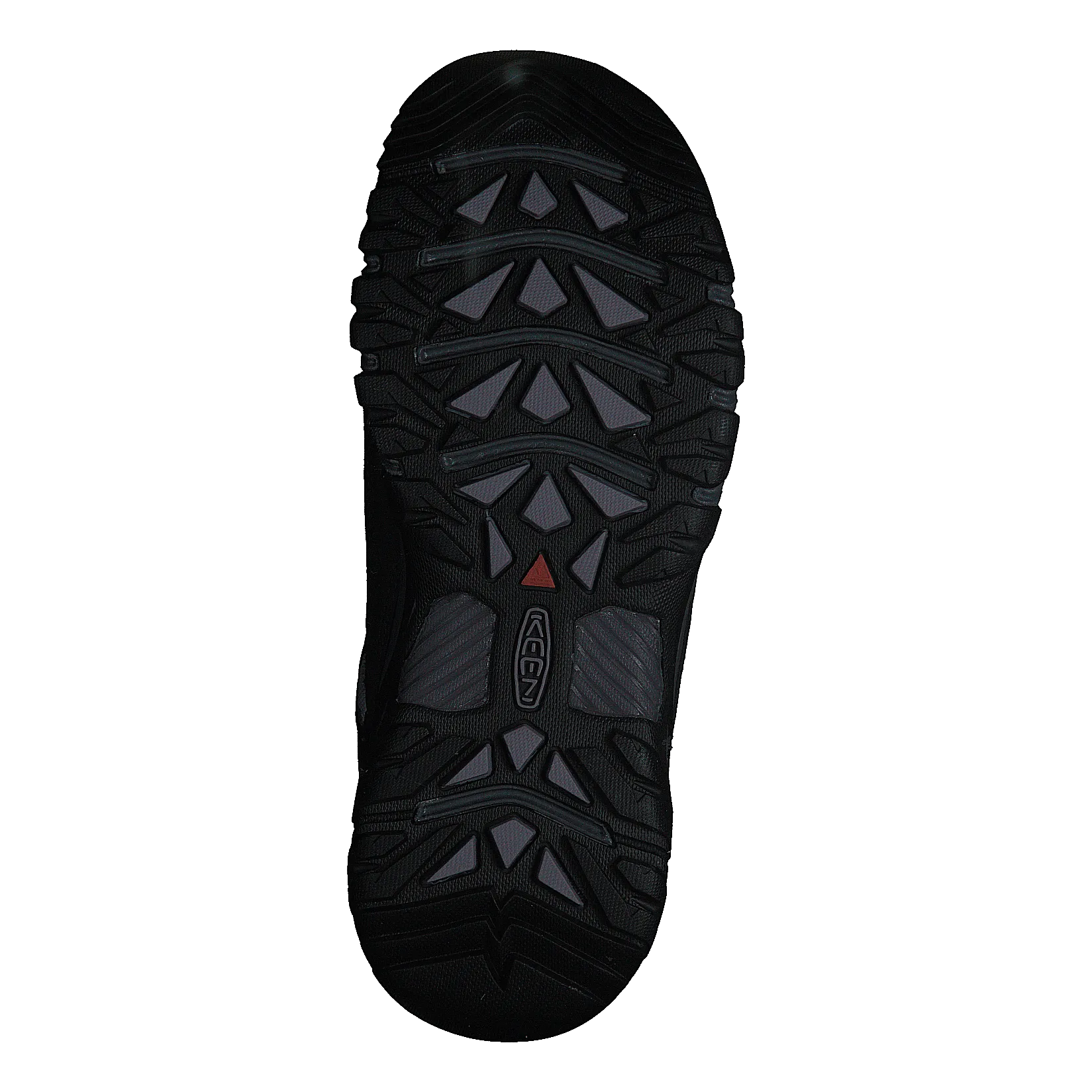 Targhee Iii Wp Black/thistle