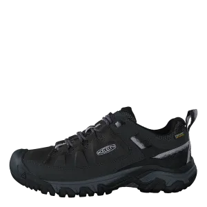 Targhee Iii Wp Black/thistle