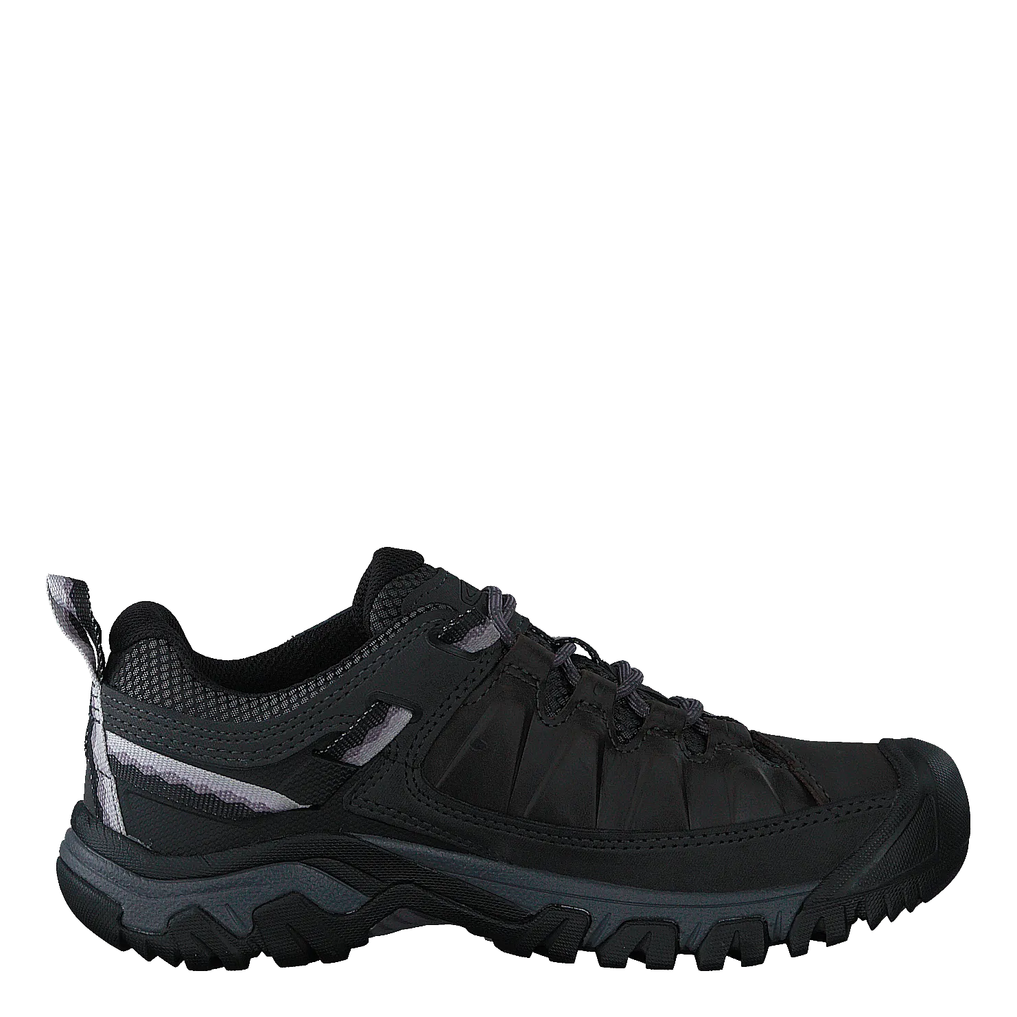 Targhee Iii Wp Black/thistle