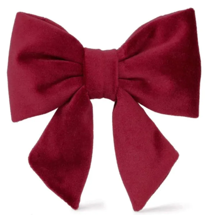 The Foggy Dog Bow