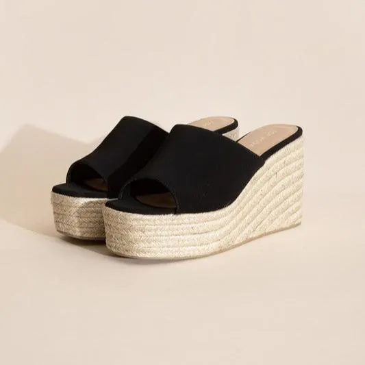 WEBSTER-20 Platform Wedge Slide Heels