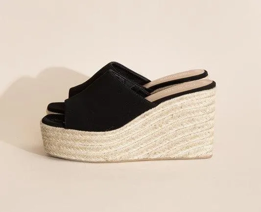 WEBSTER-20 Platform Wedge Slide Heels
